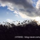 동남목욕탕 이미지