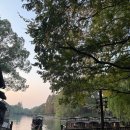 중국어(야간) | [상하이] 우전 수향마을 야간 투어 차이나 스토리 투어 내돈내산 솔직 후기 (2) : 서책 야경 구경하기