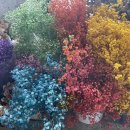 에버그린치과의원 이미지