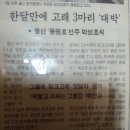 동명호
