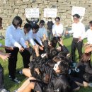 해미-비상-2 이미지