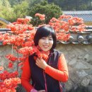 봉서농원