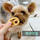 펫큐어밀 네이버블로그