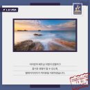 엘에이치 비자(L.H VISA) 이미지