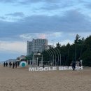 세인트팩 | 강릉 세인트존스호텔 수영장 조식 객실 후기 애견동반 여부도!