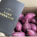만지 농장 이미지