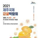 [올마이스] 2021 제주국제감귤박람회 (JEJU INTERNATIONAL CITRUS EXPO 2021) 이미지