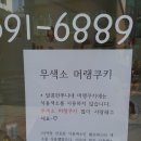 달콤한쭈니네 이미지