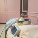 황제쑥뜸기 이미지