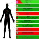 Re: 헬리코박터 파일로리가 인체 건강에 유익한 영향을 준다!! 2018년 이미지