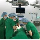 진흥동물병원 이미지