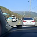 매화랜드 이미지