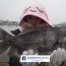 바다정성