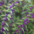 에코리움 이미지