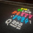 2024년 화순 꽃강길 버스킹 | 광주 근교 야경 화순 꽃강길 음악분수/개미산 전망대