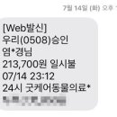 24시굿케어동물의료센터 이미지