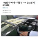 10년전 피자업계를 뒤엎은 가짜치즈 근황 이미지