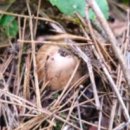 선호농장 이미지