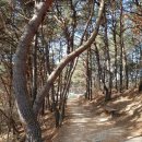 다시봄 의료기 이미지