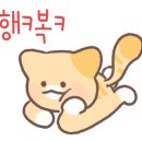 1996 혜성곱창 네이버블로그