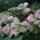 과천청사역 6번 출구 이미지