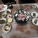 띠뚱띠뚱 오리집 이미지