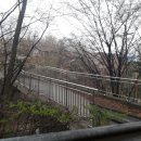 도장공원길 이미지