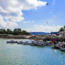 학암포항 이미지