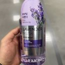 라메모리아 이미지