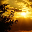 노을을 사랑하는 의 이미지