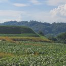 연천 호로고루 이미지