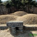 윤원거 묘비 이미지