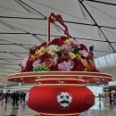 675 | 청두인천 항공편 대련환승 청두 대련 CZ6434 대련 인천 CZ675 다롄환승 후기