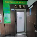 스카이바디케어 네이버블로그