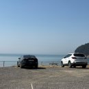 어촌밥상 | [태안 맛집] 태안 어촌밥상 | 스페셜A세트 후기, 돌게장과 생선구이 정식