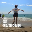 대전해수욕장3 | 중문색달해수욕장 바다거북 자연방류 엉덩물계곡 황화코스모스