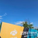 ⛳ 코오롱 제67회 한국오픈 골프선수권대회, 그리고 별빛그릴BBQ의 힐링 타임