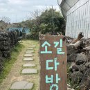 유유히 | [제주 애월 카페] 비 오는 날 더 운치 있는 동백꽃 명소, '소길다방' 카이막 &amp; 금귤에이드 후기
