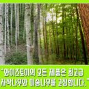 원광유치원 이미지