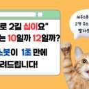 AI<b>주소</b><b>봇</b> 숫자 정제 사례(1) | 건물번호·상세<b>주소</b> 분리·검증·표준화 편