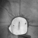 더파크동물의료센터 이미지