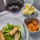 타이어크리닉 | 고도비만 다이어트 일산 비만클리닉 지방추출주사 4주차 후기