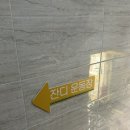 다둥 반려견 호텔 유치원 이미지