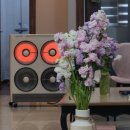 천마가스 | 위고비, 마운자로 말고 다이어트 경구약 내돈내산 후기 1일차💊