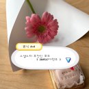 🕊️ w. wedding dvd ㅣ 스냅스타