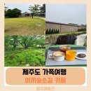소길숲속 민박 | 제주도 애월 수국 피는 힐링스팟 이끼숲소길 카페