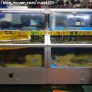 고흥영남수산 이미지