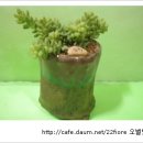 햇살정원 이미지