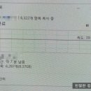 사파동310 이미지