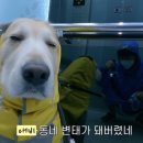 미유펍 이미지